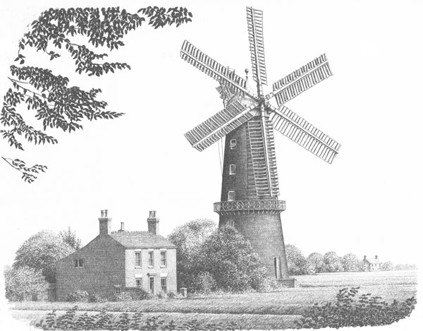 Sibsey Windmill, Lincolnshire Image